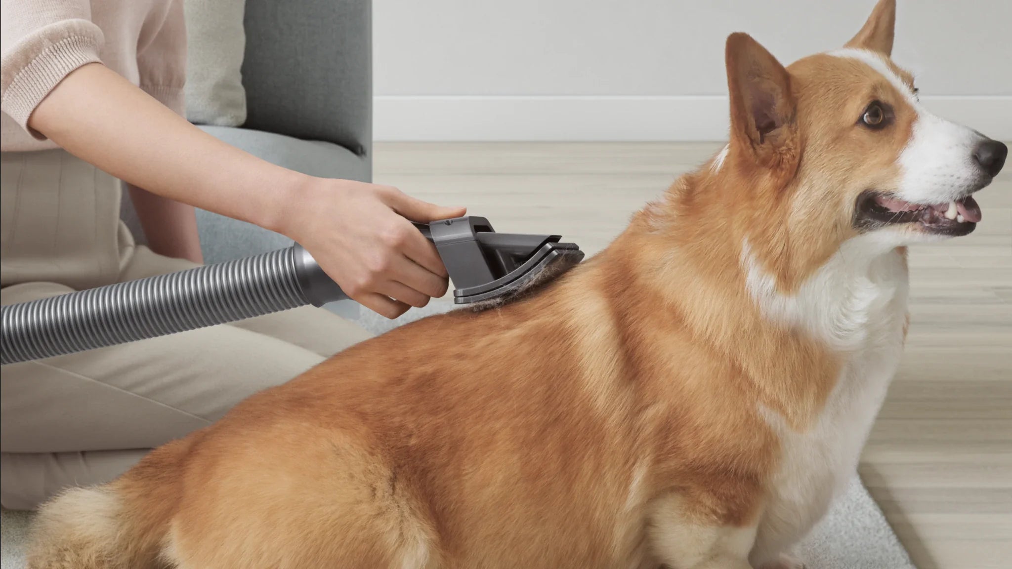 PetVac Grooming Kit