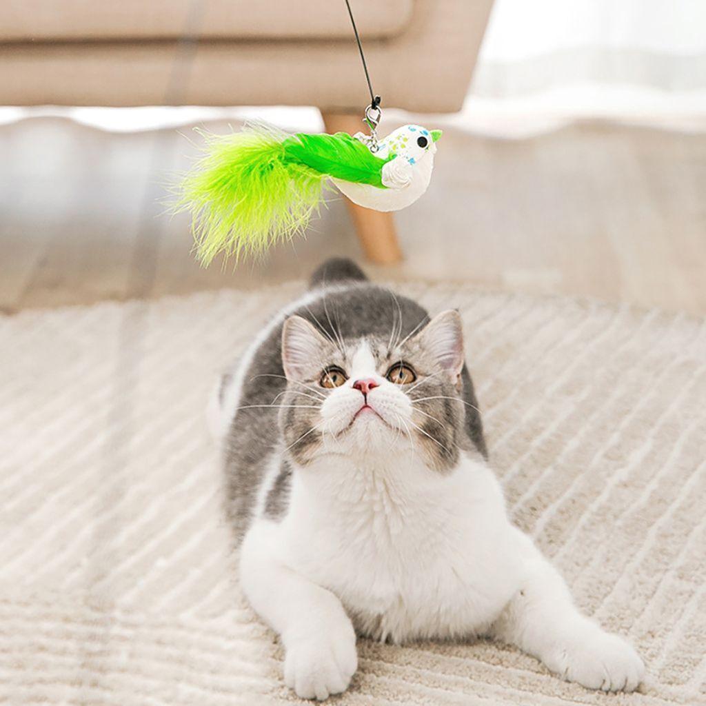 Interactive Bird Simulation Cat Toy